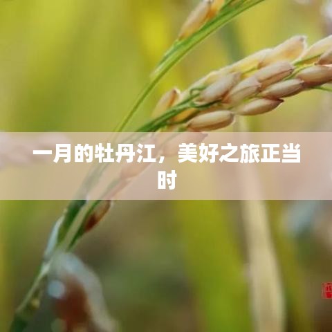 一月的牡丹江，美好之旅启程