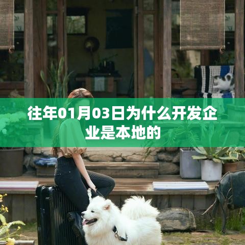 企业为何选择本地开发？揭秘背后的原因