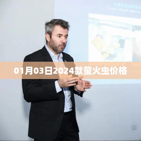 关于萤火虫价格的信息解读