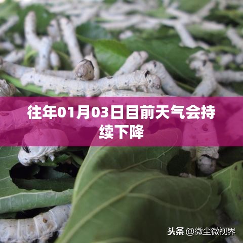 夫荣妻贵 第3页