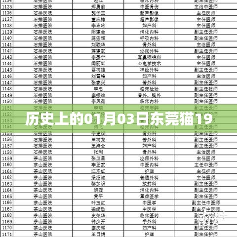 东莞猫的历史起源，探寻1月3日的记忆印记