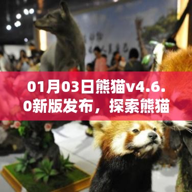 熊猫v4.6.0新版发布，应用新时代的探索之旅