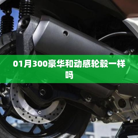 豪华与动感轮毂对比，01月30轮毂特性解析