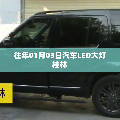 池鱼笼鸟 第2页