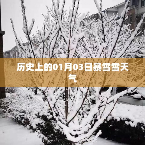 历史上的1月3日暴雪天气回顾