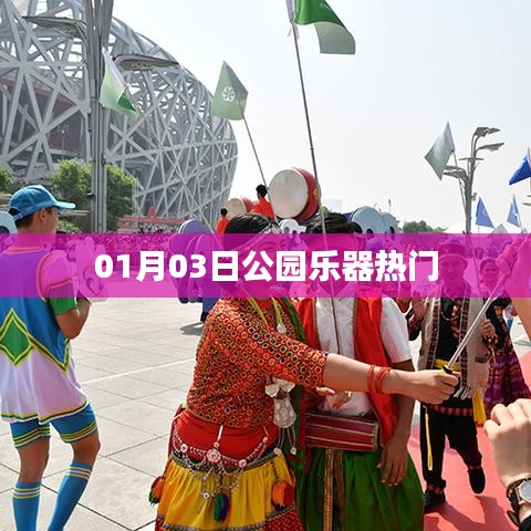 公园乐器热门演奏日，一月三日精彩回顾