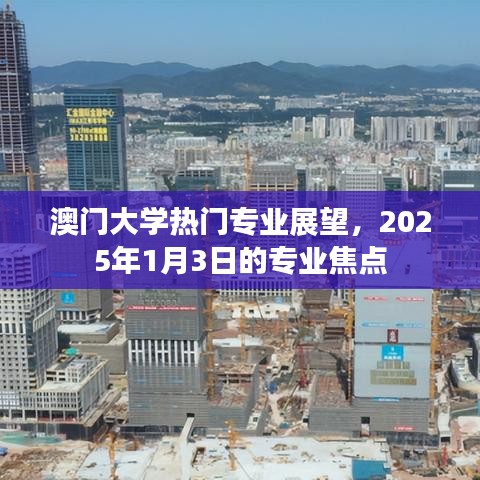 澳门大学热门专业展望，未来趋势与专业焦点解析