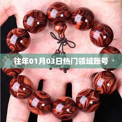 历年一月三日热门领域账号盘点。