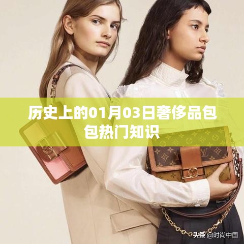 奢侈品包包热门知识揭秘，历史上的1月3日回顾