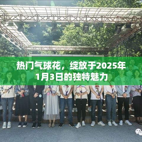 气球花独特魅力绽放于元旦当日