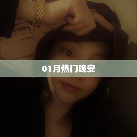 寥若晨星 第2页