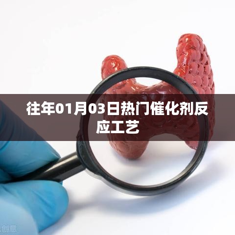 历年热门催化剂反应工艺概览