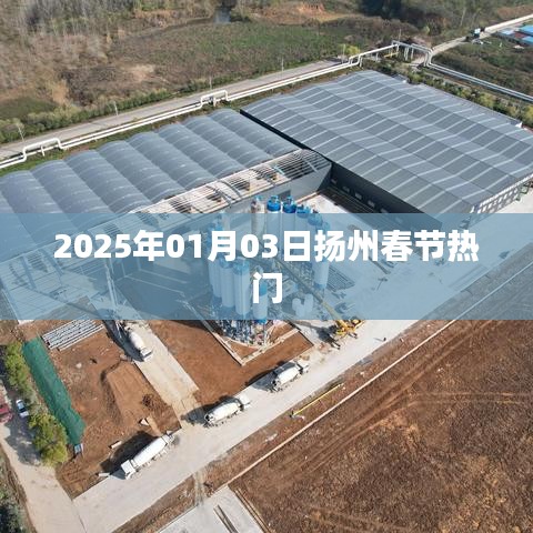 豆油皮系列 第113页