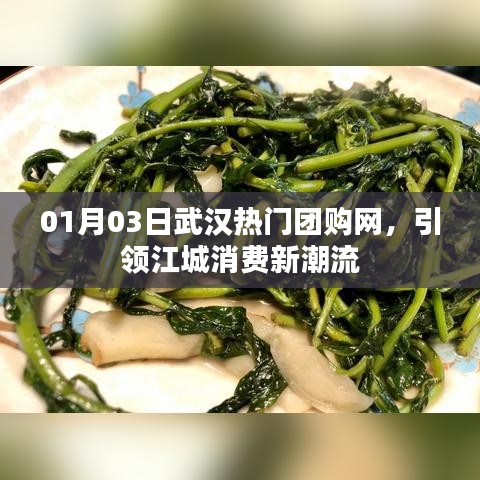 产品中心 第108页