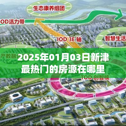 『新津热门房源动态，2025年最抢手房源一览』