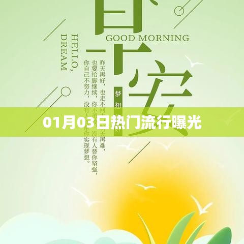 01月03日时尚潮流热点大揭秘