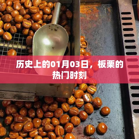 板栗热门时刻揭秘，历史上的01月03日回顾