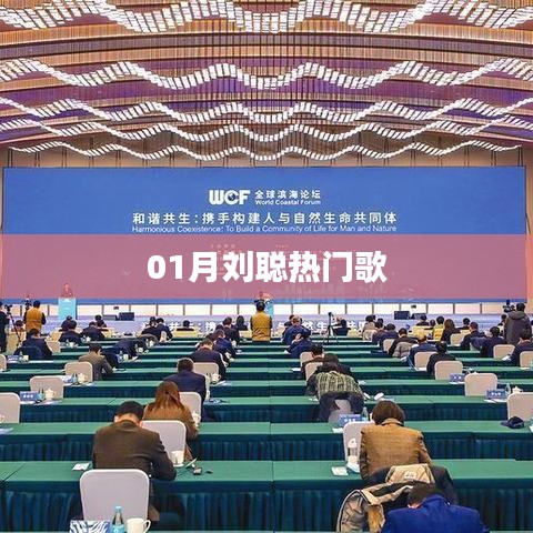刘聪一月热门歌曲盘点