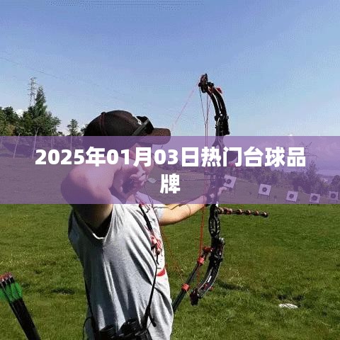 『2025年热门台球品牌一览』