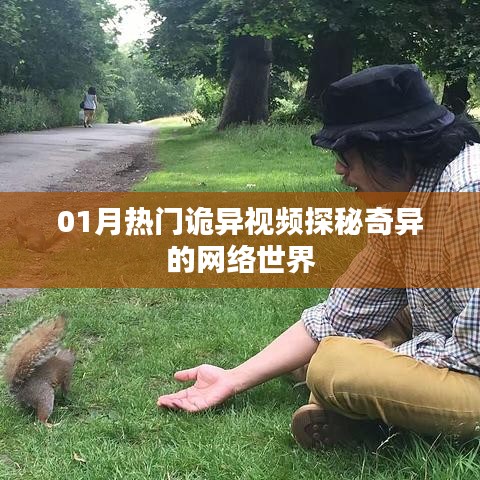 探秘热门诡异视频，神秘网络世界揭秘