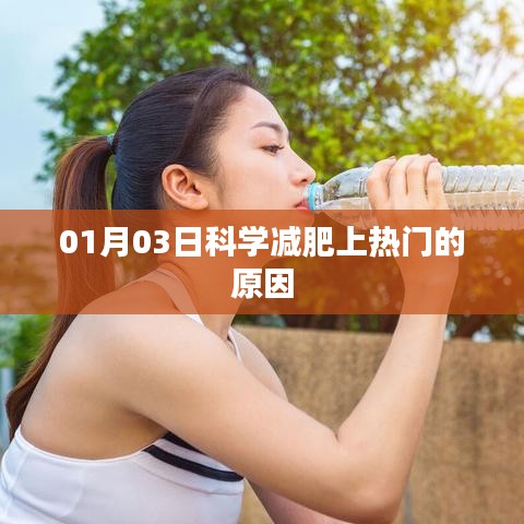 科学减肥秘诀揭秘，一月三日热门话题上榜原因