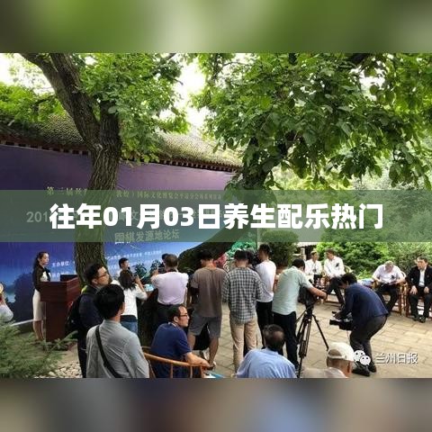 养生配乐热门推荐，历年元旦后的最佳旋律回顾