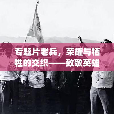 专题片老兵，荣耀与牺牲的交织——致敬英雄岁月