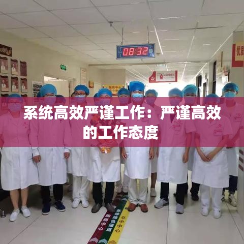 系统高效严谨工作：严谨高效的工作态度 