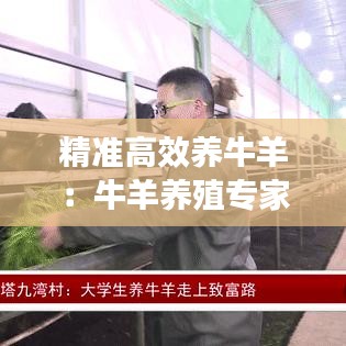 精准高效养牛羊：牛羊养殖专家 