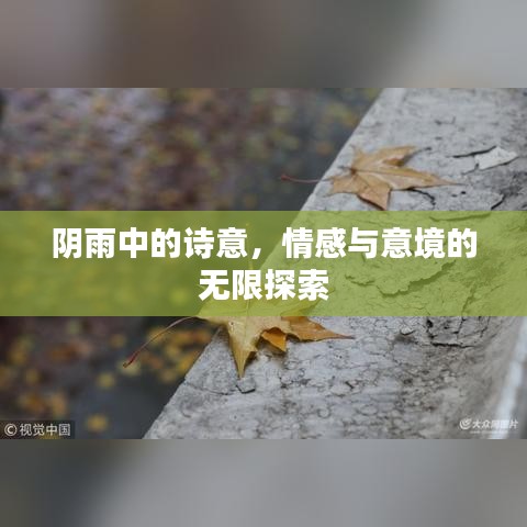 阴雨中的诗意，情感与意境的无限探索
