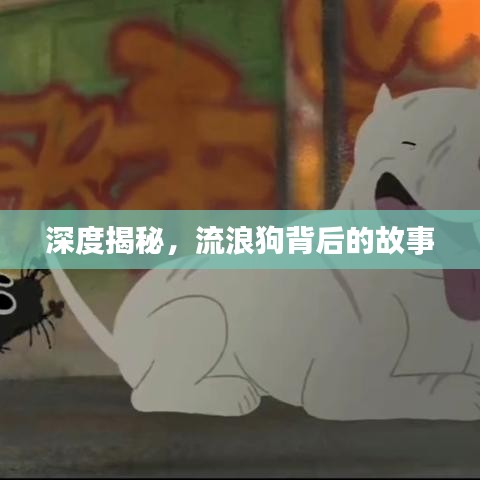 深度揭秘，流浪狗背后的故事