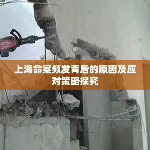 上海命案频发背后的原因及应对策略探究
