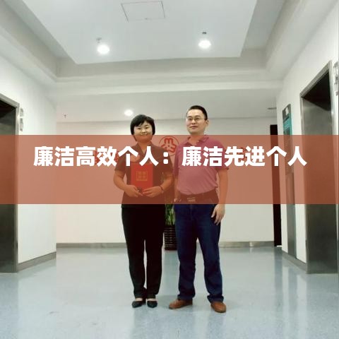 廉洁高效个人：廉洁先进个人 