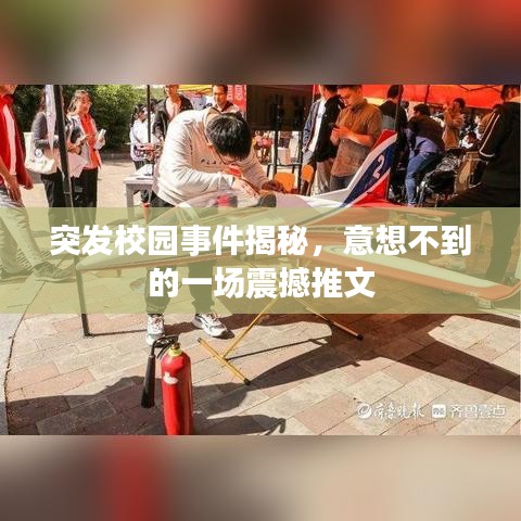 突发校园事件揭秘，意想不到的一场震撼推文