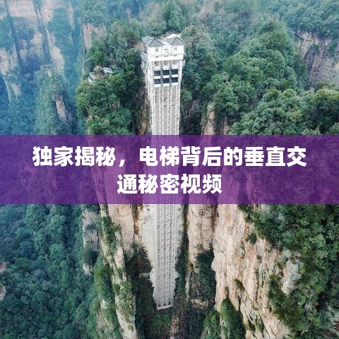 精耕细作 第2页