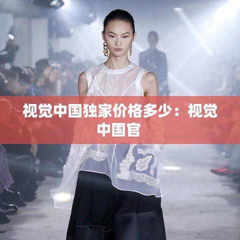视觉中国独家价格多少：视觉中国官 