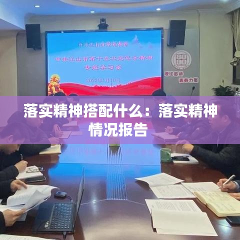 落实精神搭配什么：落实精神情况报告 