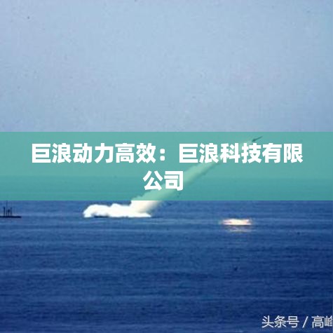 巨浪动力高效：巨浪科技有限公司 