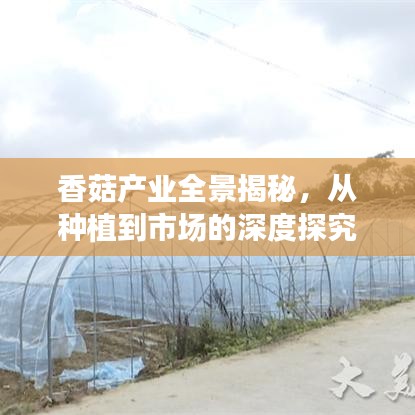 炊粱跨卫 第2页