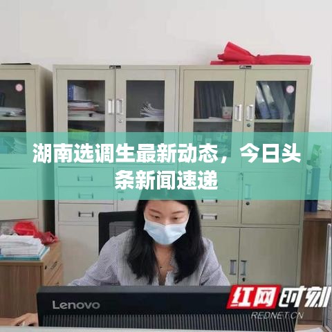 降贵纡尊 第2页