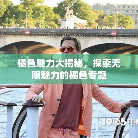 橘色魅力大揭秘，探索无限魅力的橘色专题