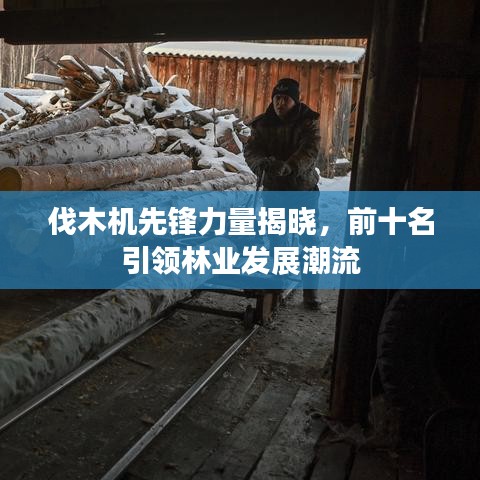 鸟云之阵 第2页