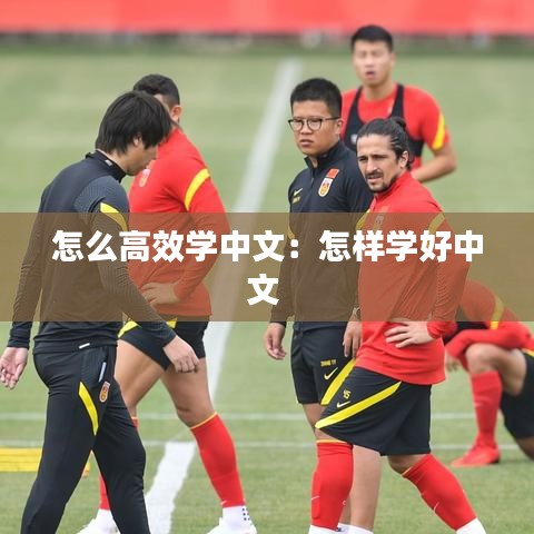 怎么高效学中文：怎样学好中文 