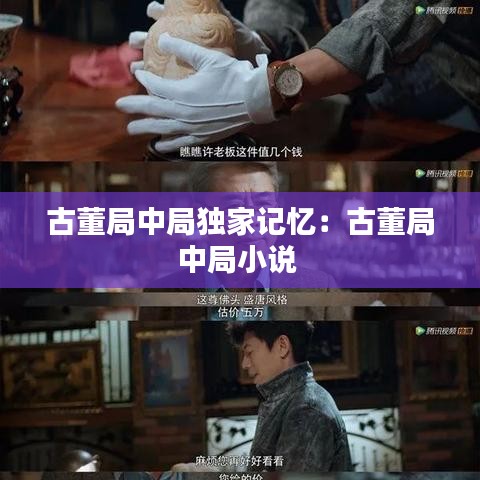 古董局中局独家记忆：古董局中局小说 