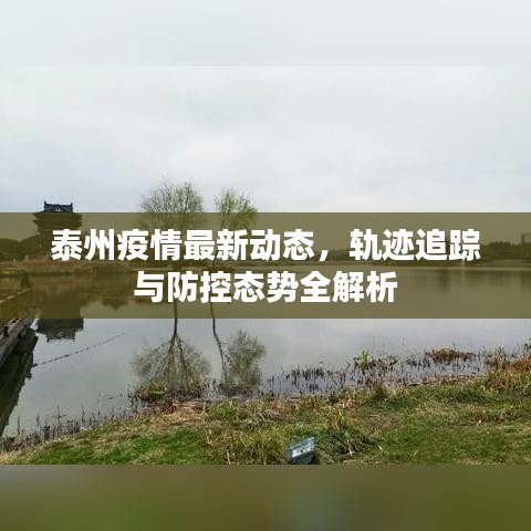 泰州疫情最新动态，轨迹追踪与防控态势全解析