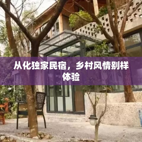 从化独家民宿，乡村风情别样体验