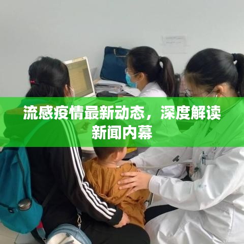 流感疫情最新动态，深度解读新闻内幕