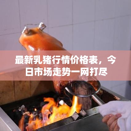最新乳猪行情价格表，今日市场走势一网打尽