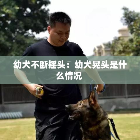在线订购/商城 第90页