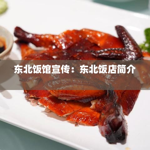 囊萤映雪 第2页